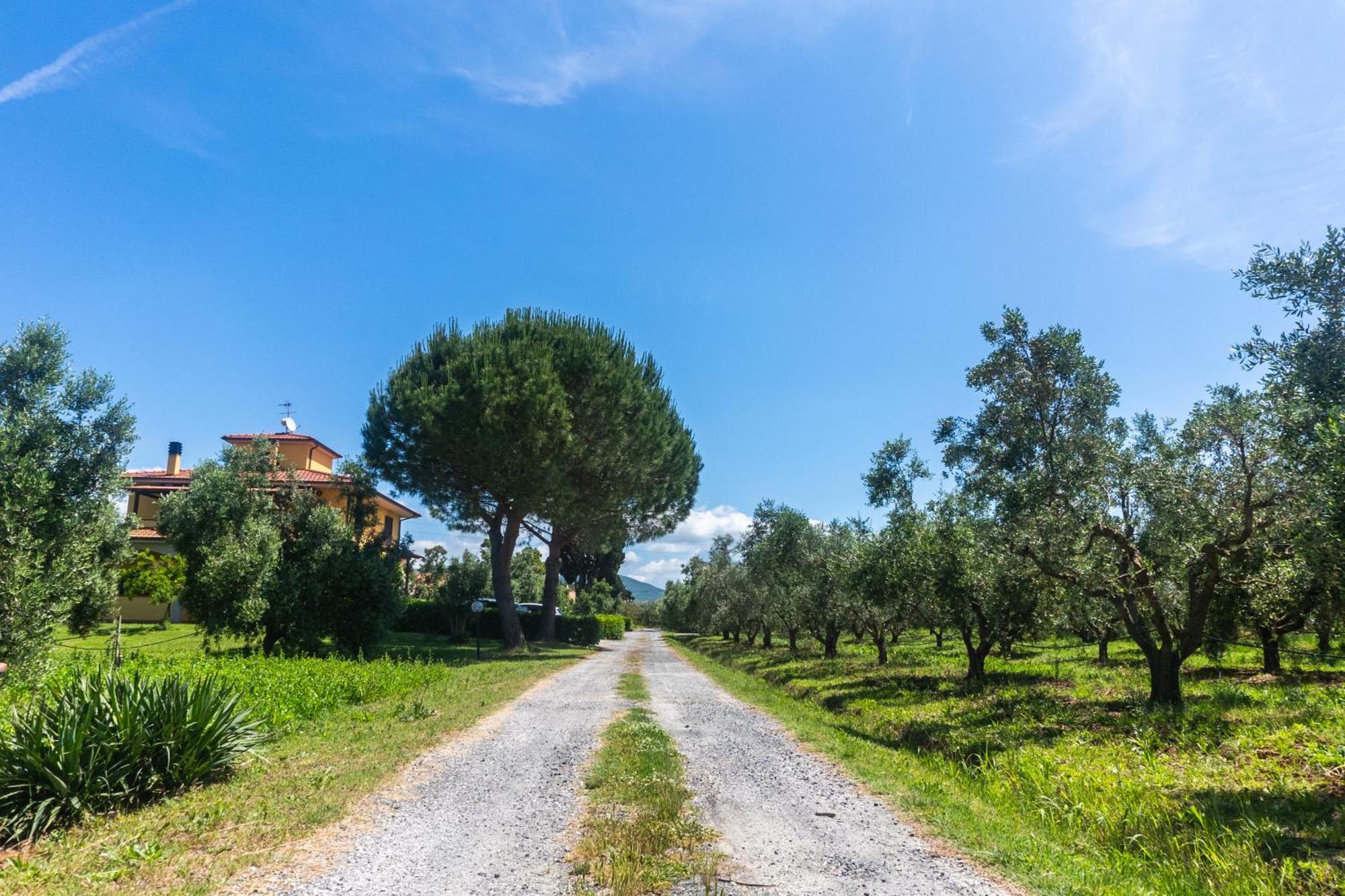 Farm stay Il Tripesce Vada