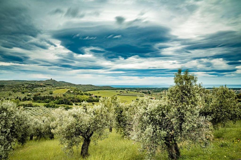 Alojamento de Turismo Rural Il Tripesce