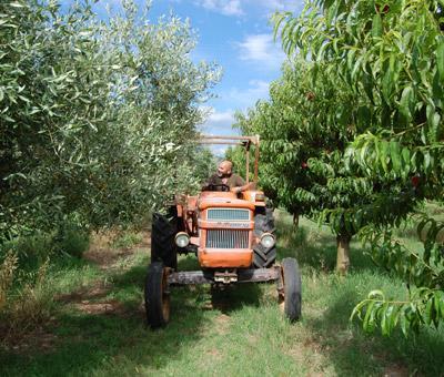 Il Tripesce Alojamento de Turismo Rural Vada