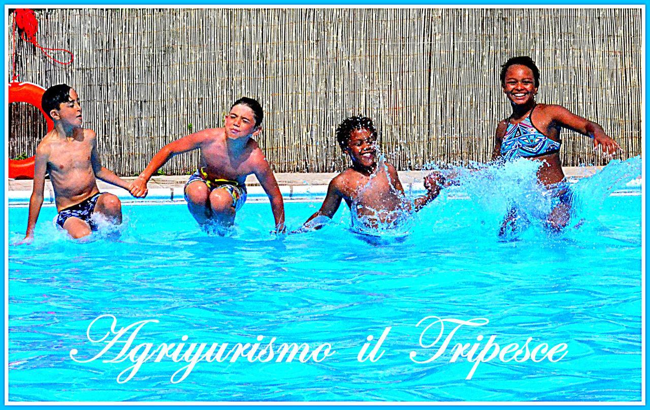 Il Tripesce Alojamento de Turismo Rural Vada